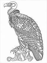 Vulture Kolorowanka Gst Mandala Adult Afryka Coloringbay Sheets sketch template