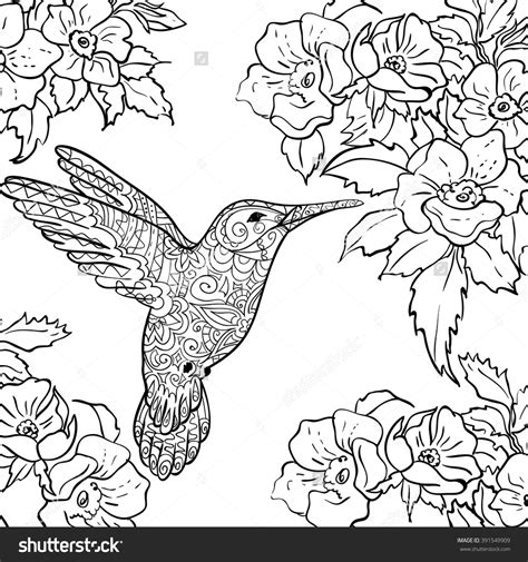 hummingbird  flower coloring pages  getcoloringscom