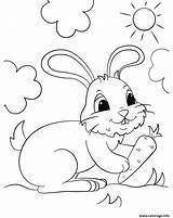 Carotte Lapin Coloring Tenant Bunny Desalas sketch template