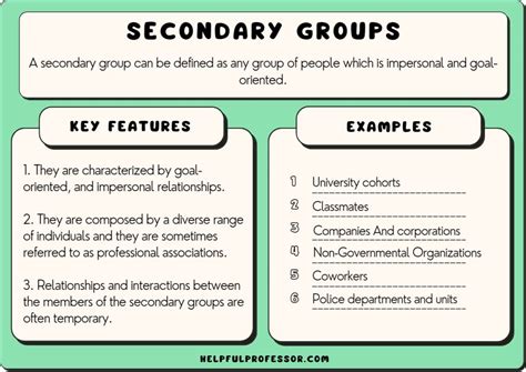 secondary groups  sociology definition  examples