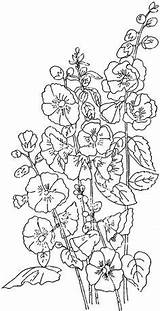 Hollyhocks Hollyhock Ingalls 1886 Sunflowers Poppies Jeninemd Designlooter Daffodils sketch template