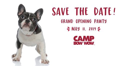 grand opening pawty