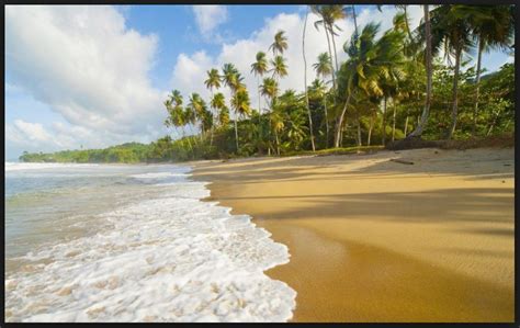 picture  nature seashore hd wallpaper