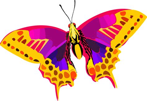 Dibujos De Insectos Dibujos De Mariposas Arte De Mariposa Clipart