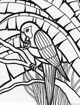 Parrot Coloringhome sketch template
