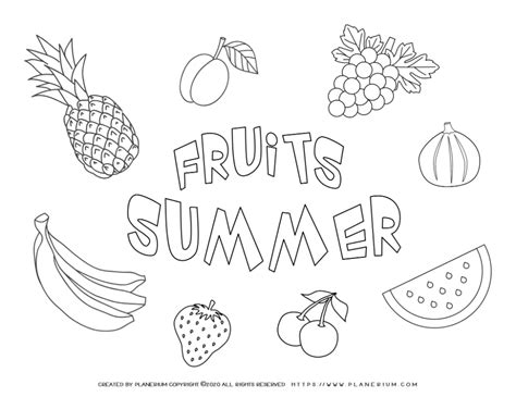 summer coloring page fruits   summer planerium