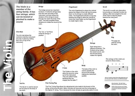 parts   violin poster violin poster violin parts