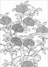 Coloring Tree Flowers Flowered Et Fleurs Pages Adult Vegetation Nice Created Illustration Old Nature sketch template