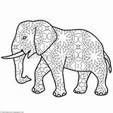 Pages Elephant Coloring Mandala Getcolorings sketch template