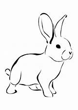Coloring Pages Rabbit Clipartmag Bunny sketch template