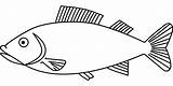 Fisch Fische Ausmalbild Malvorlage Malvorlagen Kostenlos Einfache Ausdrucken Peixe Hecht Peixes sketch template