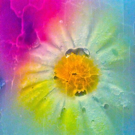 Psychedelic Daisy Photograph By Marie Naturally Fine Art America