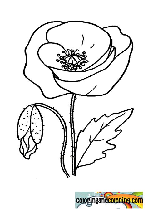 coloring poppy coloring  coloring pages poppy coloring page
