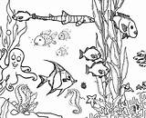 Coloring Ocean Pages Fish Reef Coral Aquarium Ecosystem Drawing Marine Sea Plants Printable Floor Underwater Barrier Great Clipart Print Hidden sketch template