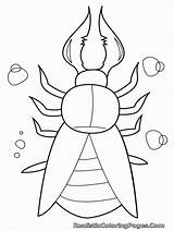 Printable Insects Coloring Popular Library sketch template