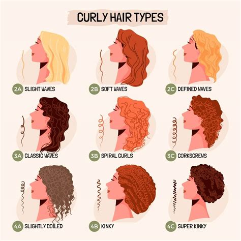 top  image curly hair type chart thptnganamsteduvn