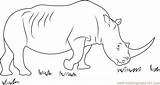 Rhino African Coloringpages101 Rhinoceros sketch template