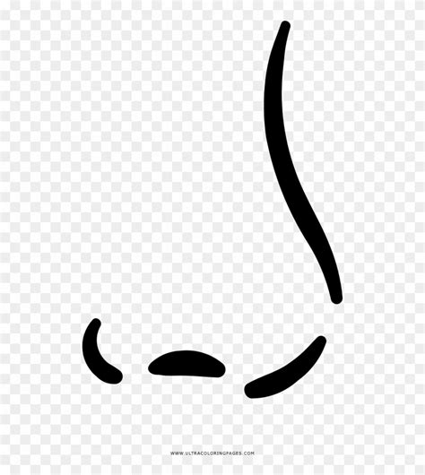 nose coloring page calligraphy hd png