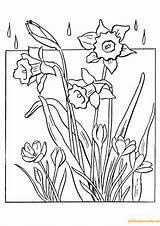 Pages Spring Coloring Flowers Online Color Coloringpagesonly sketch template