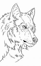 Wolf Lupo Colorare Mannaro Werewolf sketch template
