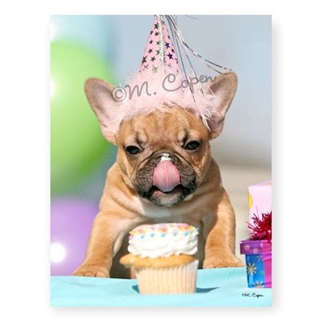 happy birthday french bulldog cards set   cards etsy