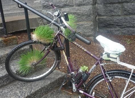 upcycle  bike gardening sock gardening