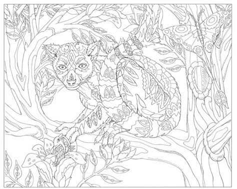 images  adult coloring pages  save  print  pinterest