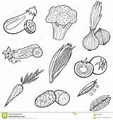 Colorare Alimento Verdure Adult Pagine Raccolta sketch template