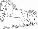 Ausmalbilder Pferd Springendes Ausmalbild Pferde Tiere Coloringpages101 Adults Findest Weitere Hunde Vorschule sketch template