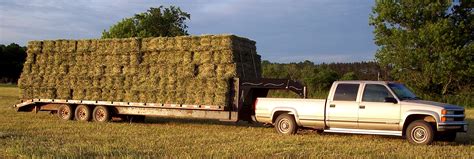naturally grown hay  treasured haven farm