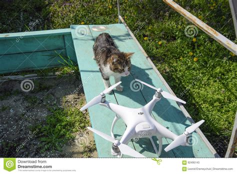 cat sniffs  drone dji phantom  surprise  animal    gadget quadrocopter