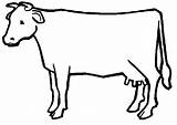 Cow Outline Clipart Clip sketch template