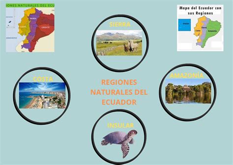 las regiones naturales del ecuador youtube vrogueco