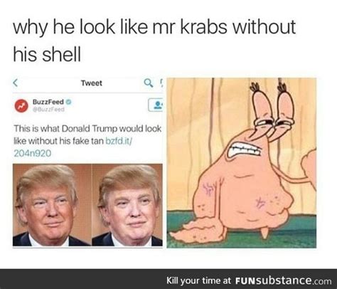 list some similarities or differences between trump and mr krabs in