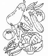 Coloring Pages Food Nutrition Clipart Healthy Vegetable Library sketch template