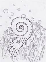 Ammonite sketch template