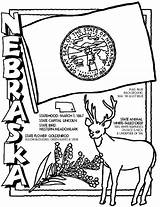 Nebraska Cornhuskers Husker Crayola Template 保存 sketch template