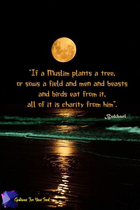 muslim charity quotes quotesgram