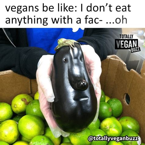 dont eat    face vegan memes totally vegan buzz