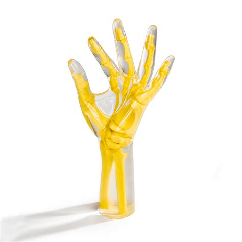 hand wrist phantom radiology support devices