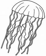Jellyfish Coloring Pages Drawing Printable Children Line Medusa Topcoloringpages Jelly Fish Water Print Sheet Printables Clipartmag Whitesbelfast sketch template