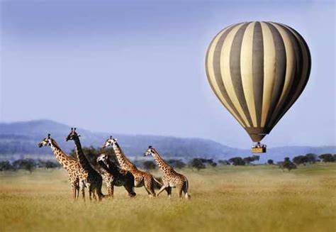 up in the air hot air ballooning in africa