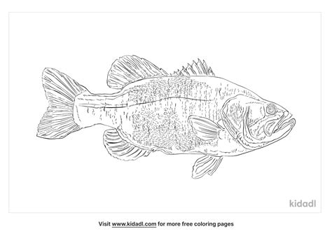 saltwater fish coloring page coloring page printables kidadl