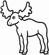 Moose Elch Tiere Kleiner Animals Malvorlagen Arce Malvorlage sketch template