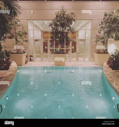 indoor pool   water club borgata hotel casino  spa atlantic
