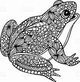 Frog Frogs Zentangle Frosch Doodle Grenouille Ausmalbild Ausmalen Colouring Erwachsene Ornamental Ranas Ornaments Toads Rooster Pyrogravure Kleurplaten Coloriages Zum Livres sketch template