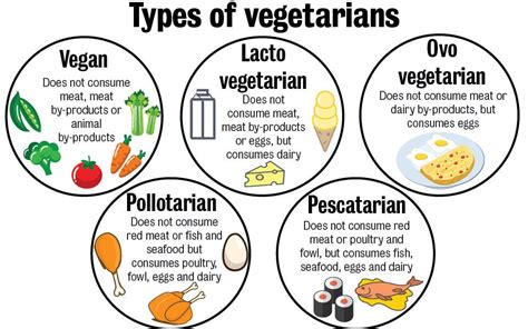 vegan vegetarian lifestyle health  wellness edition  theshorthorncom