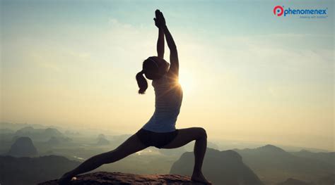 yoga exercises  combat breast cancer science unfiltered