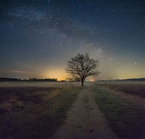 der baum bei nacht foto bild landschaft naturlandschaft bei nacht fruehling bilder auf