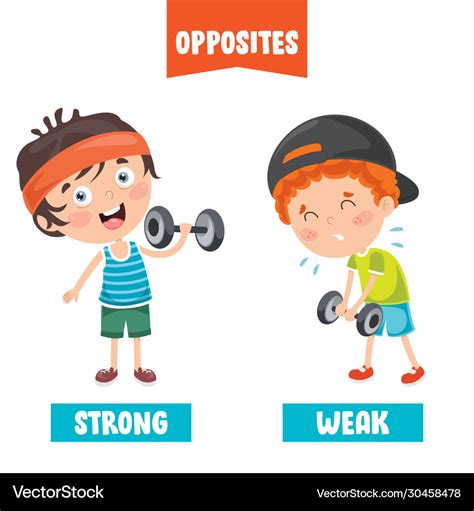 strong  weak royalty  vector image vectorstock